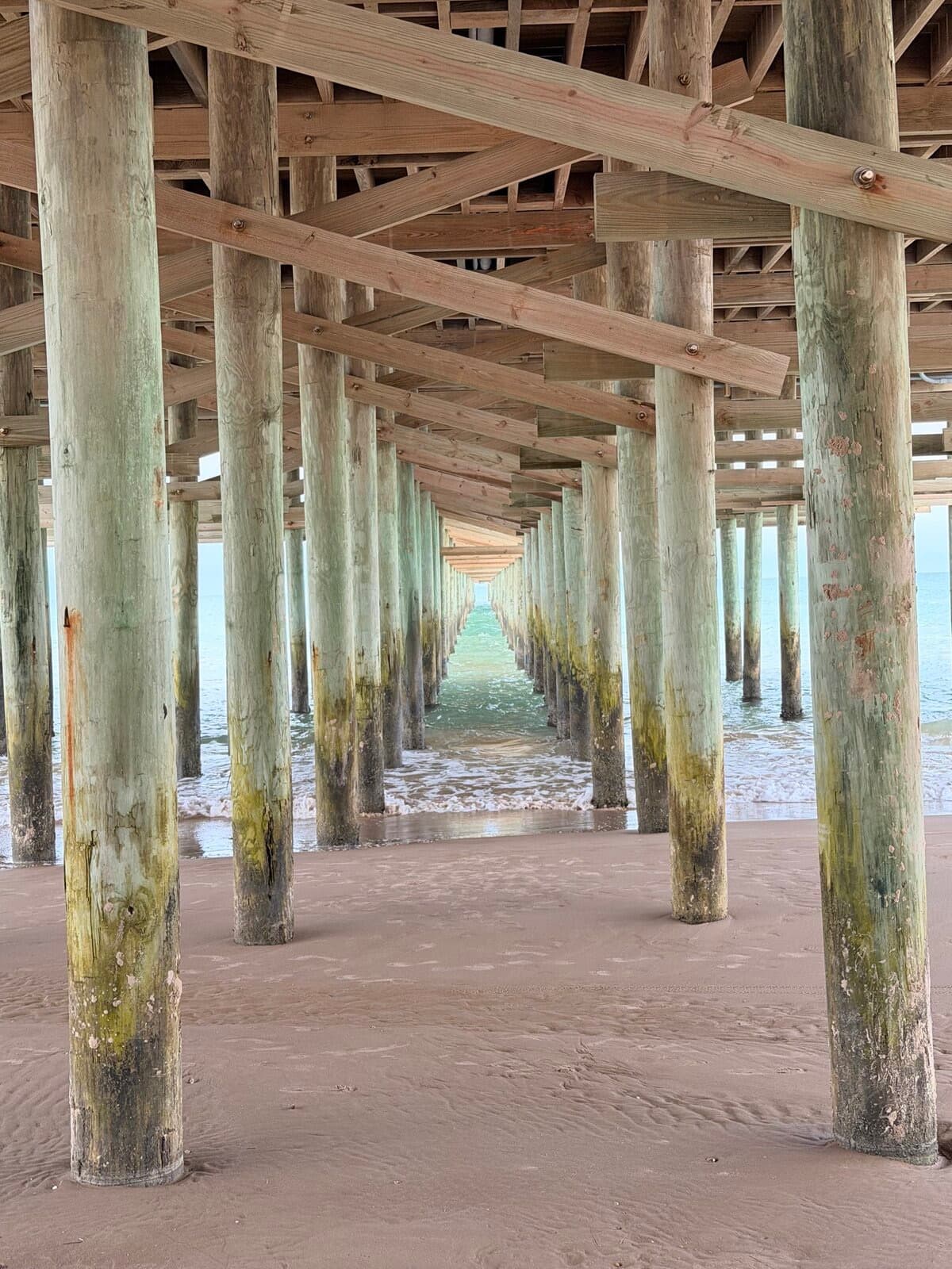 Rows of weathered wooden pilings under a pier stretching across sand toward the distant ocean.