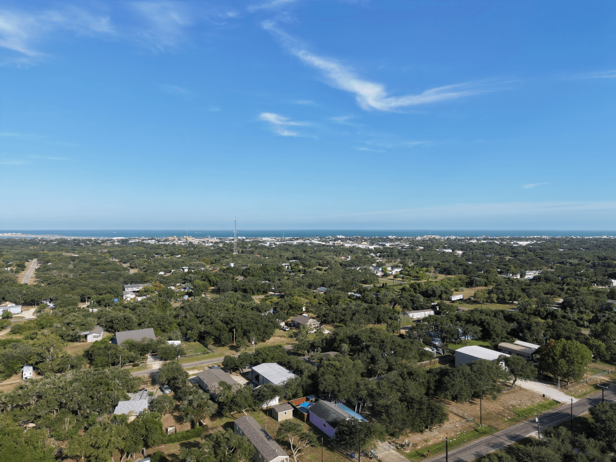 Aerial view of a coastal neighborhood with dense green trees and the ocean horizon.